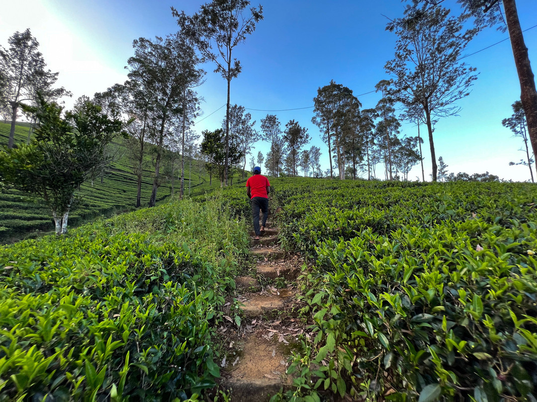 Hugging Clouds主图