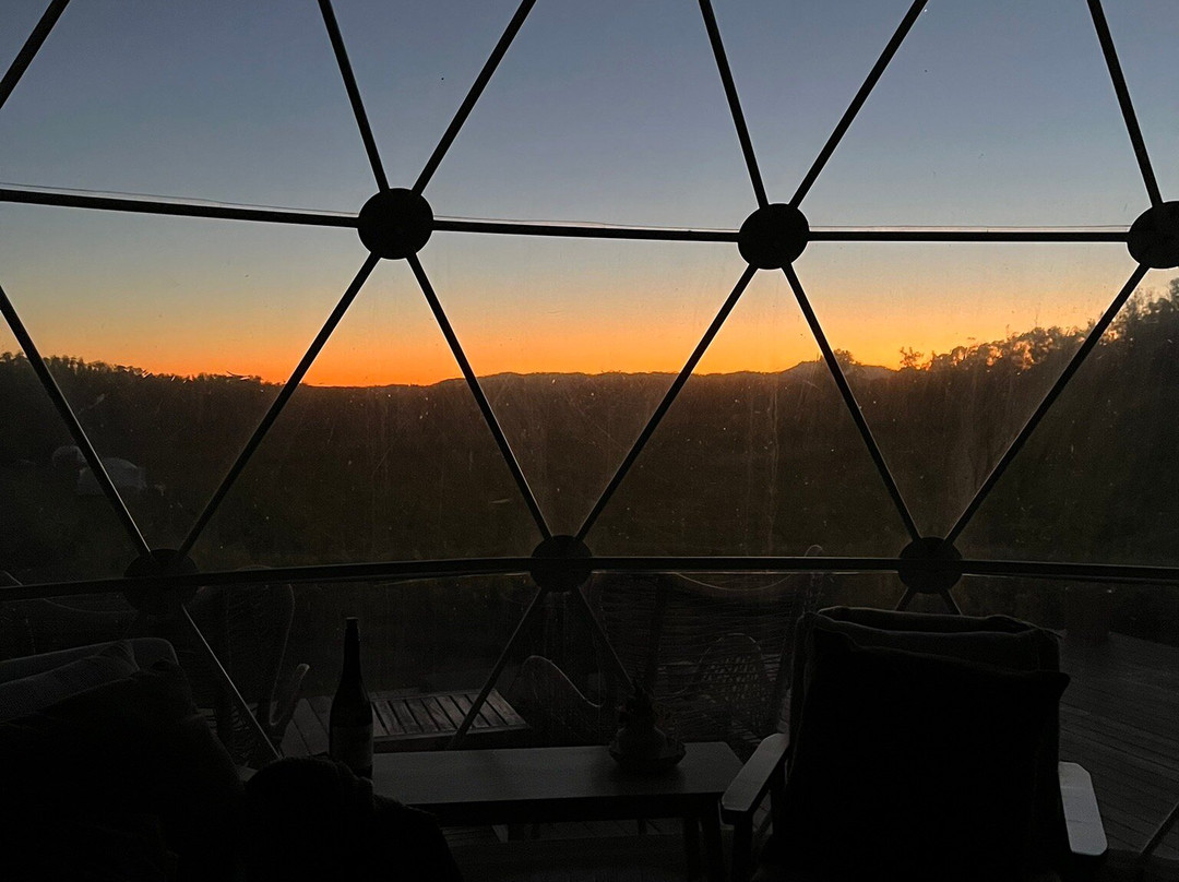 Domescapes in the Vines主图