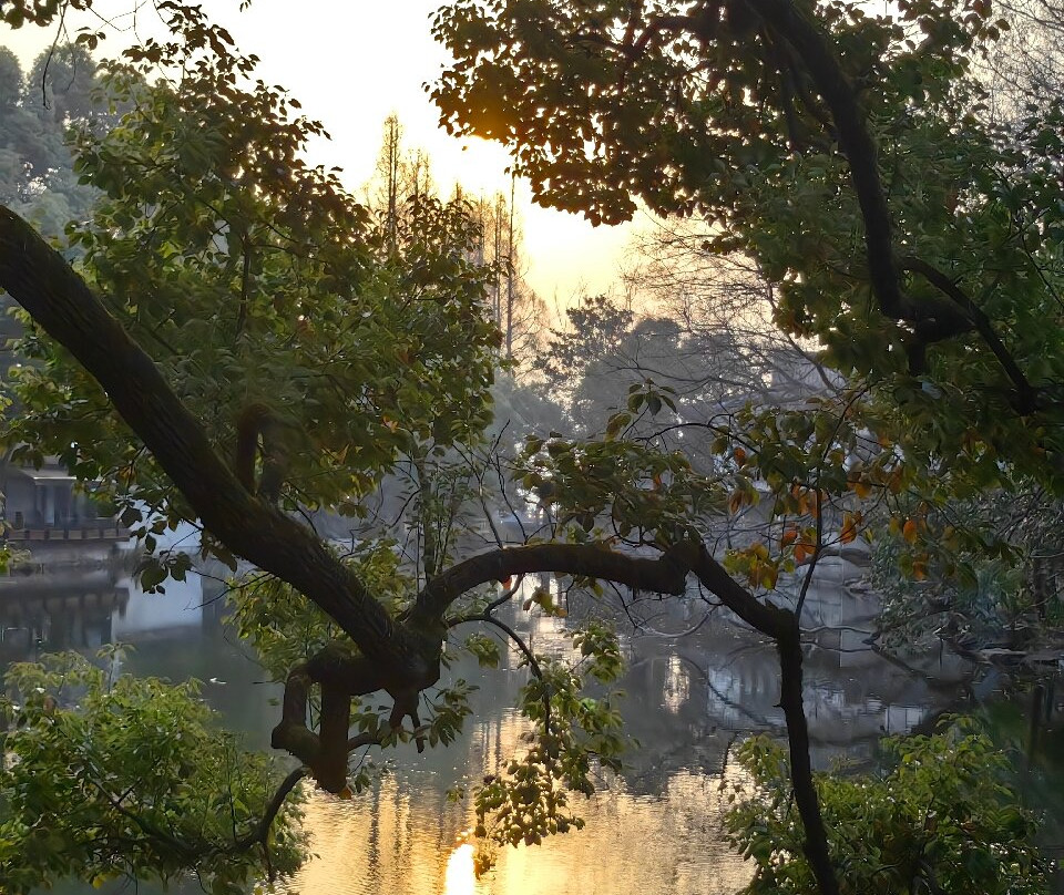 西湖花港观鱼公园景点图片