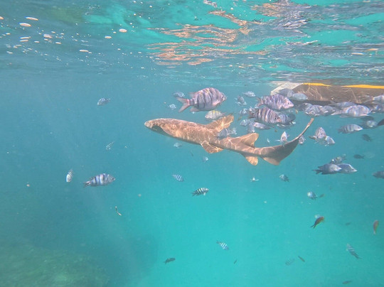 Agência Noronhe-se-费尔南多-迪诺罗尼亚群岛必去景点