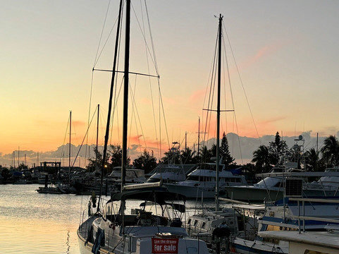 Island Safari Rentals-基韦斯特必去景点