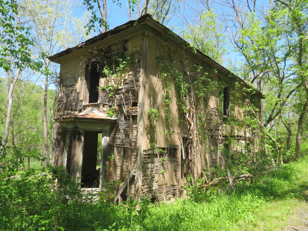 Magical Mystery Bike Tours, LLC-罗阿诺克必去景点