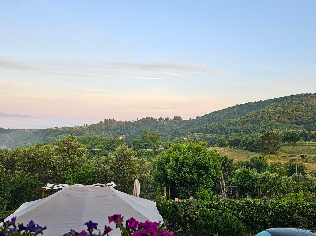 Il Podere La Casina主图