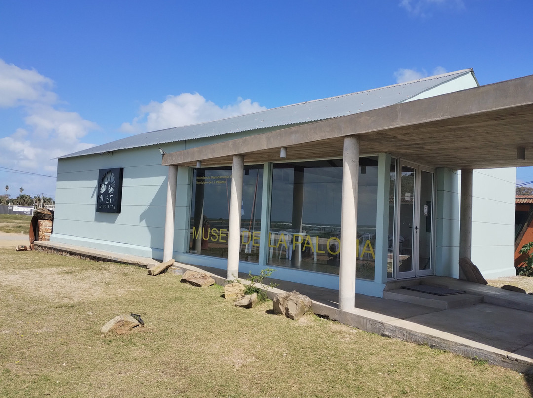 Museo De La Paloma