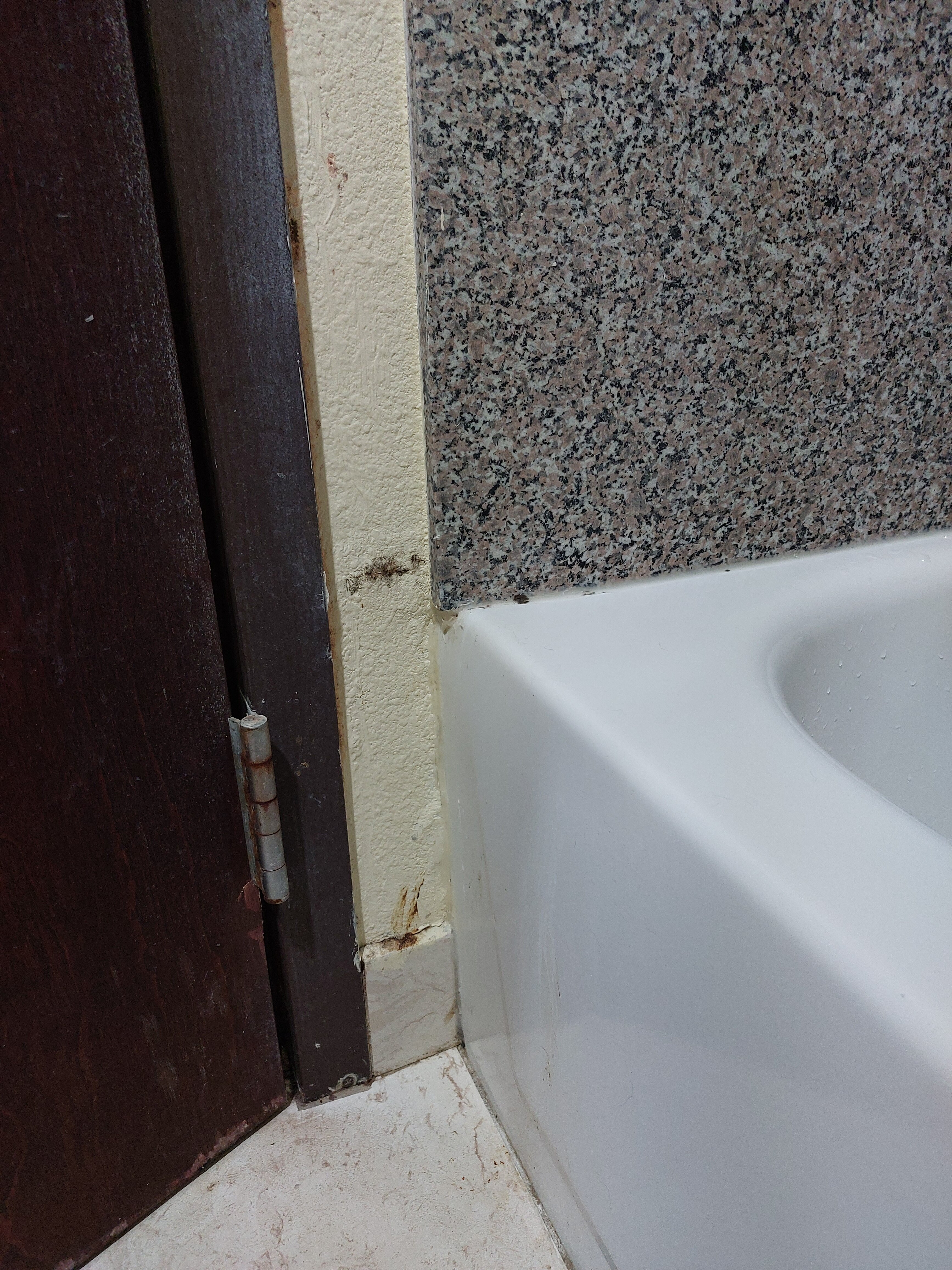 Days Inn & Suites by Wyndham Sam Houston Tollway-官方