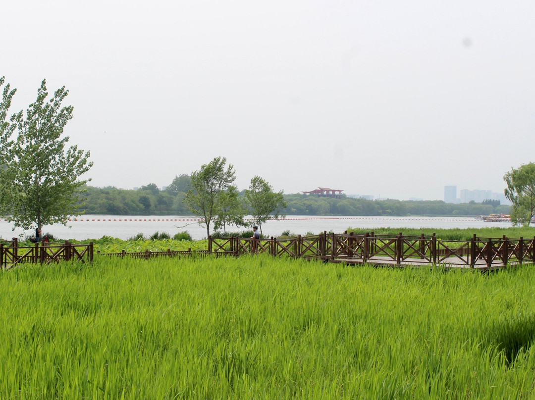 大运河森林公园-北京市必去景点