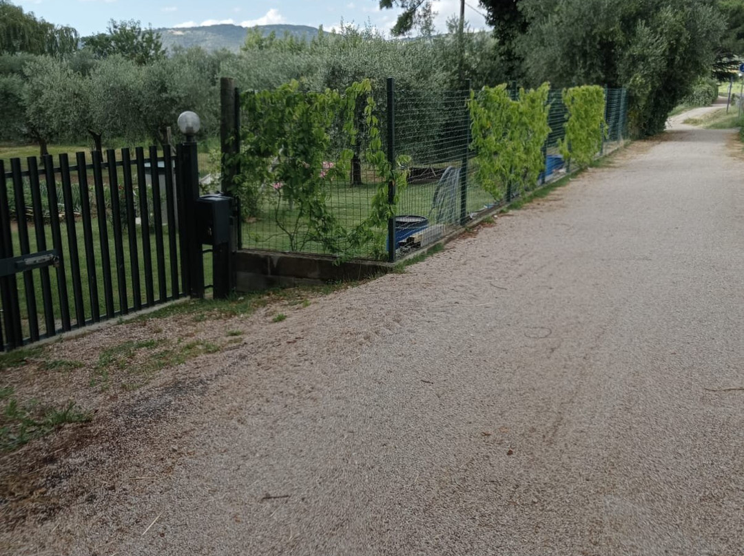 Ciclovia Perugia - Trasimeno景点图片