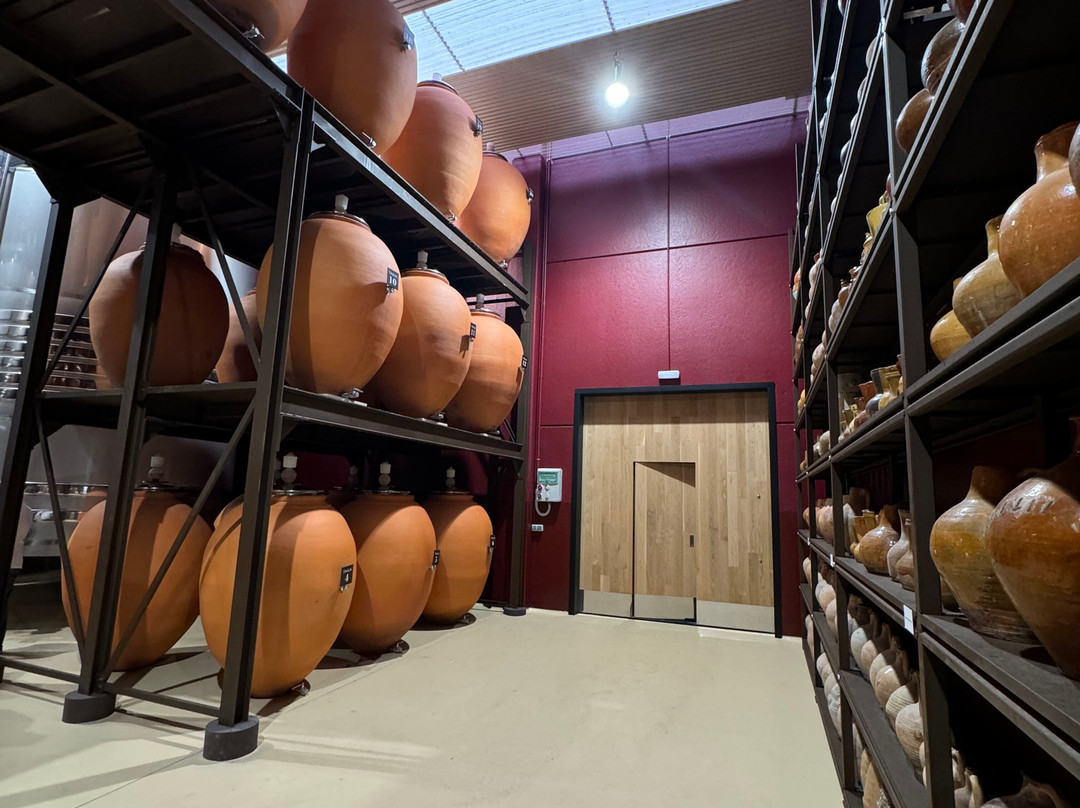 Bodega Hotel Fya主图