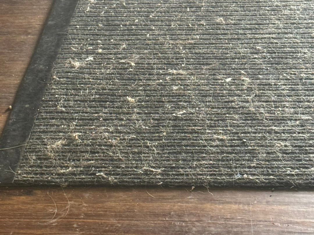 拉顿速8酒店主图