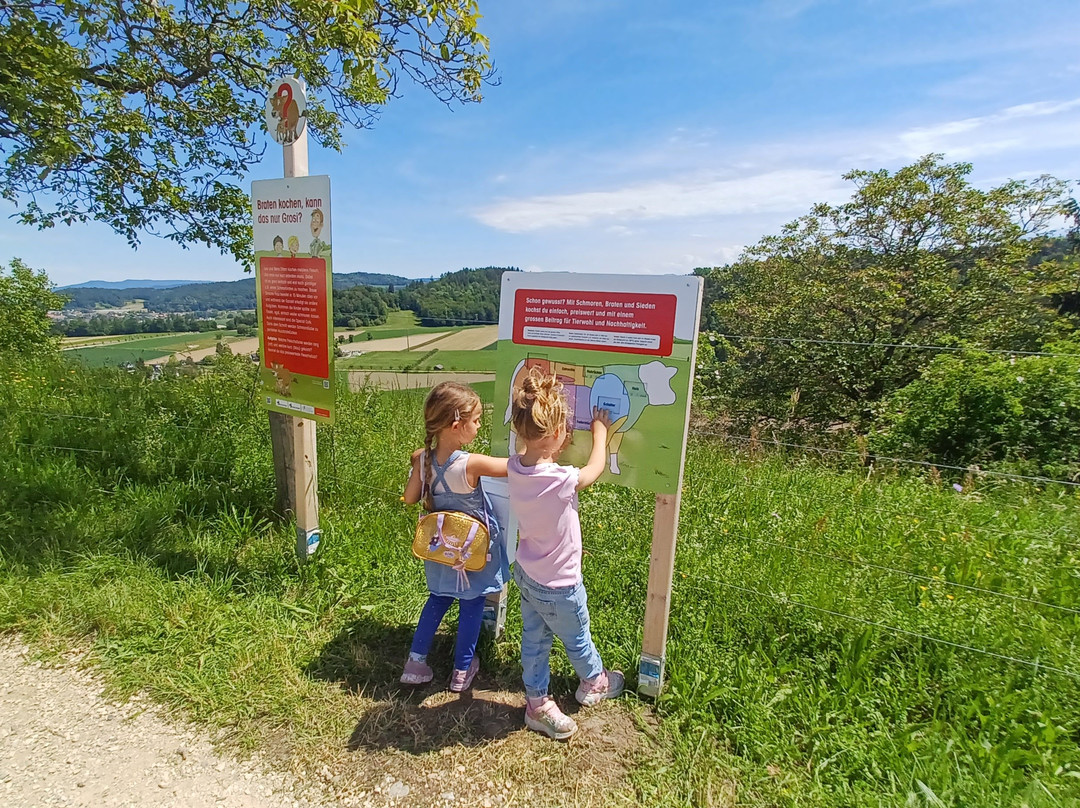 Lea and Ben Adventure Trail-Lupfig必去景点