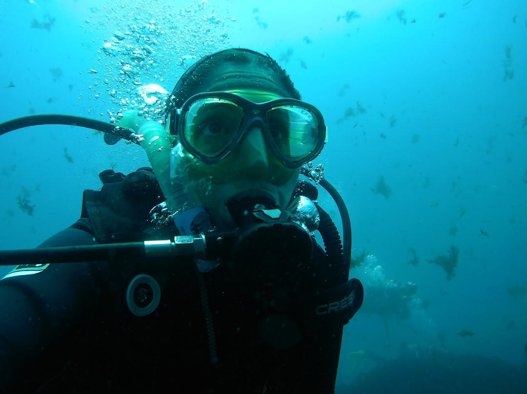 Yellow Submarine-塔里法必去景点