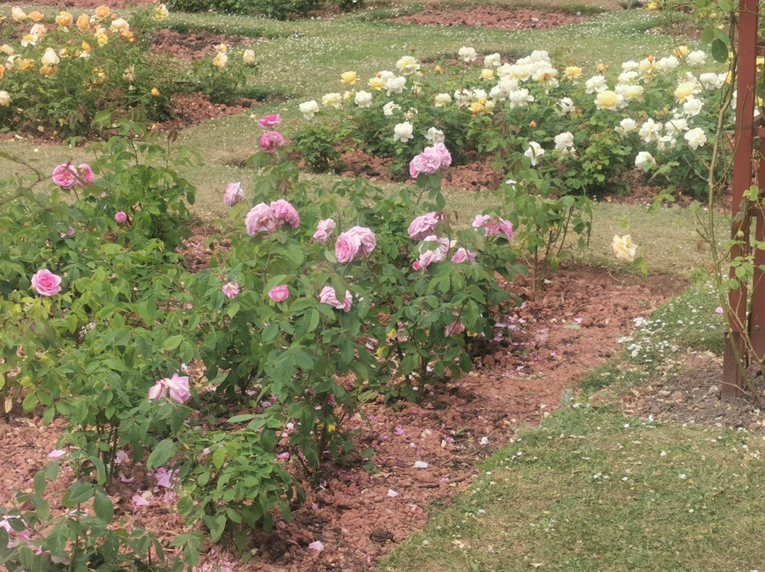 Cockington Court-托基必去景点