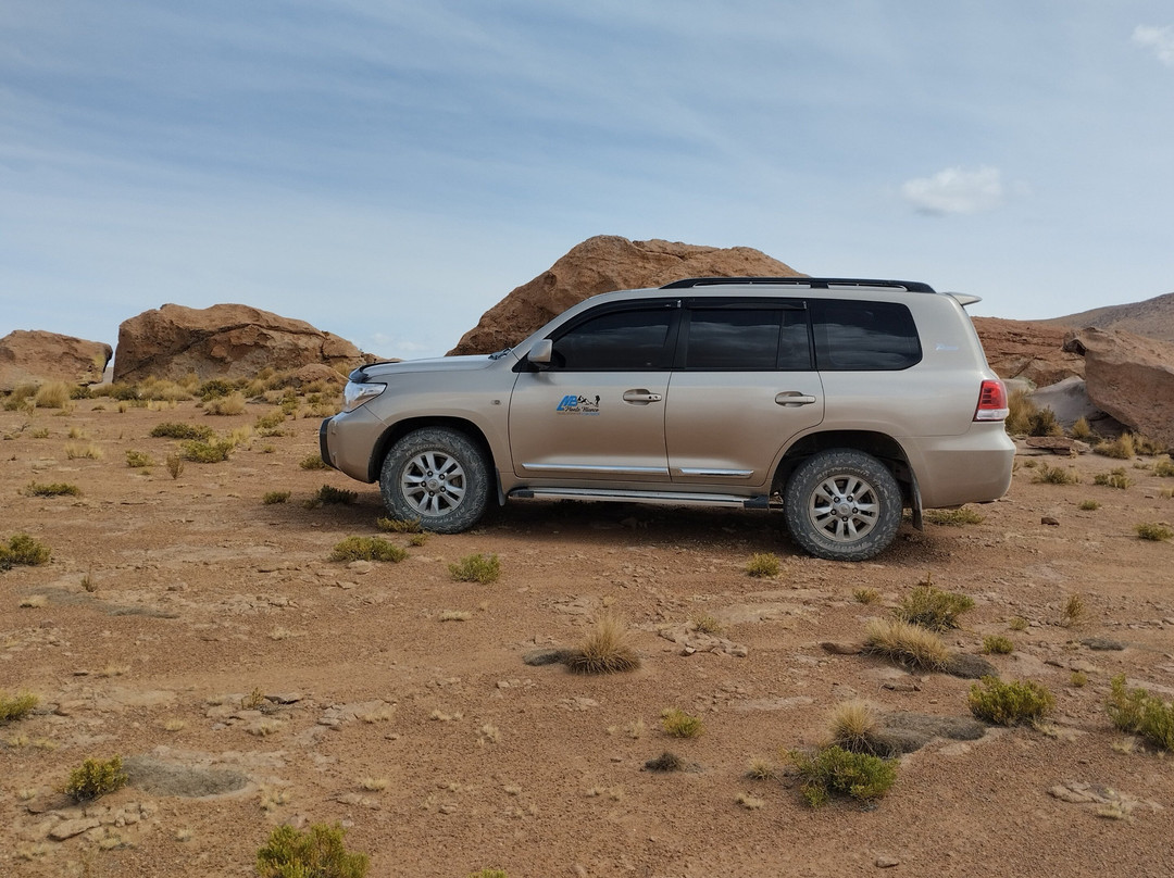 SALAR DE UYUNI AND COLORFUL LAGOONS景点图片