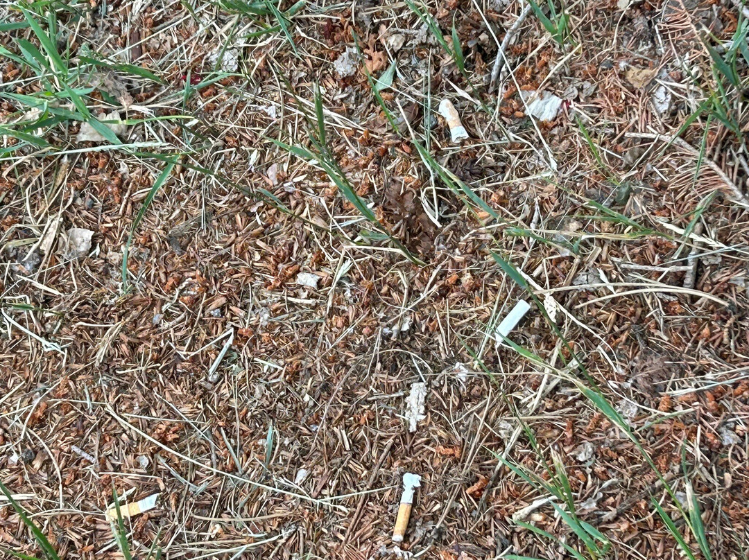 Laguna Vista Lodge主图