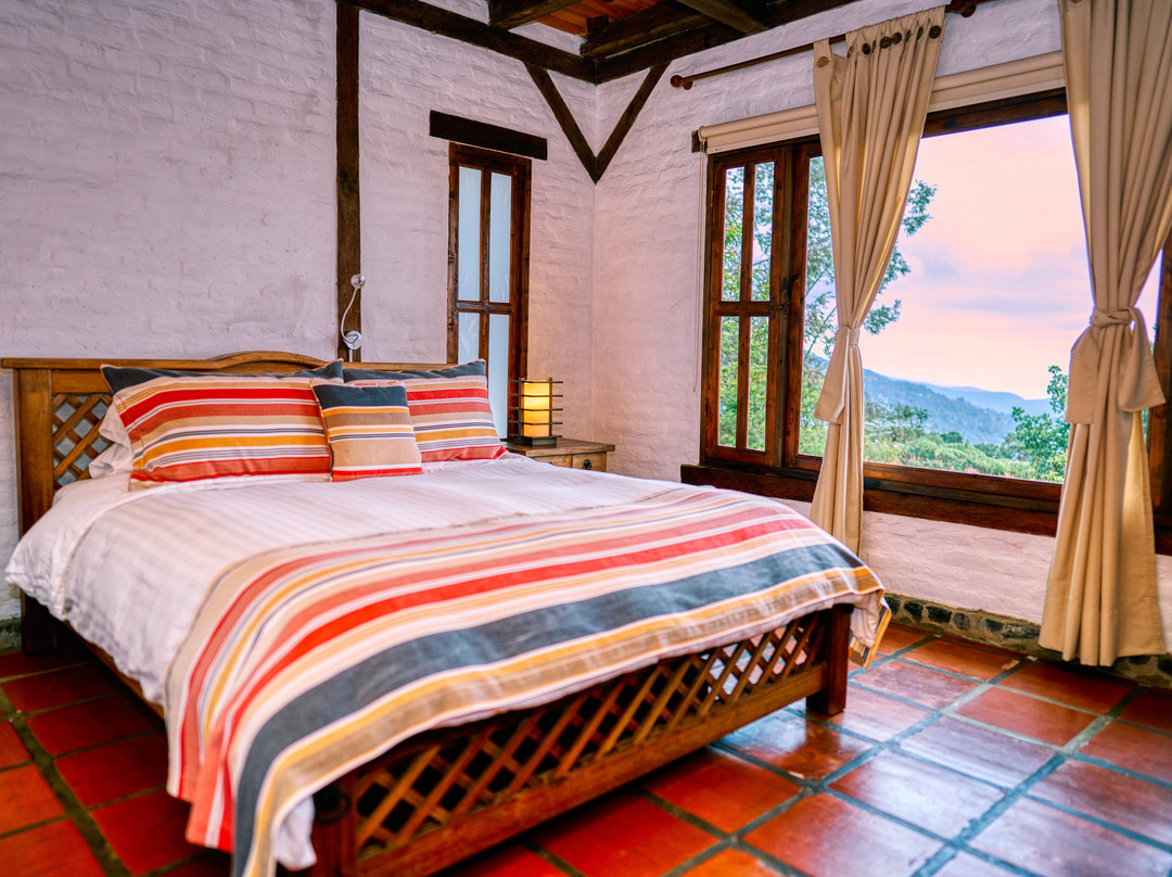 Eucaliputus Resort主图