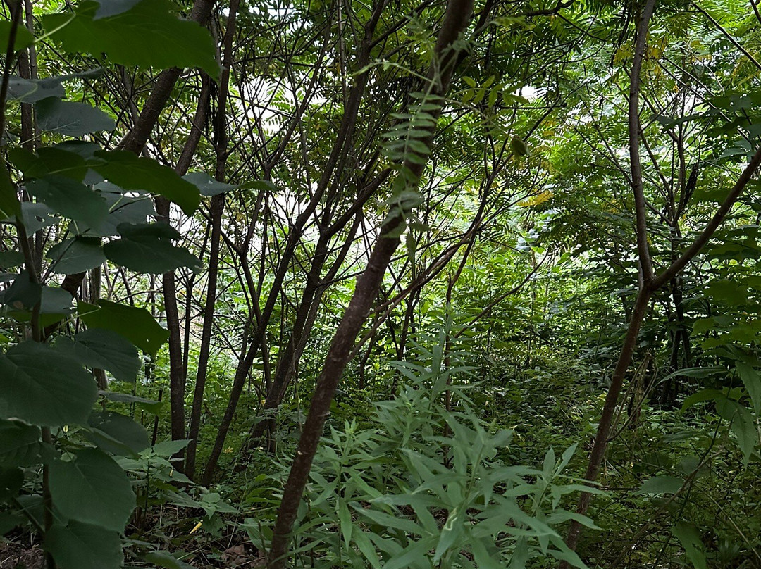 Sunrise Park-Lake Bluff必去景点