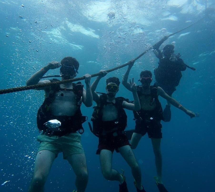 Mojo Divers-涛岛必去景点