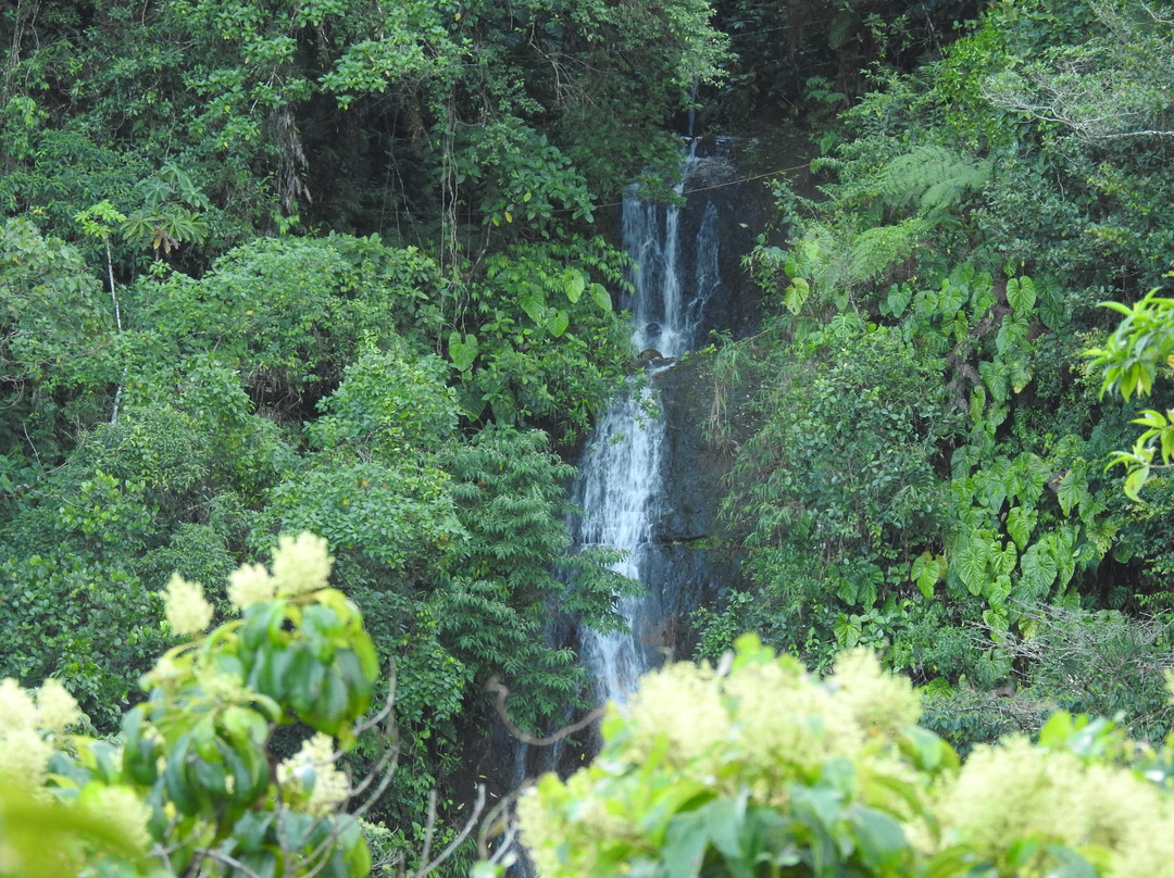 Hotel Quelitales主图