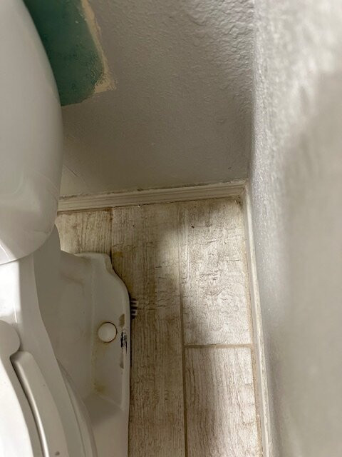 Mockingbird Inn & Suites主图