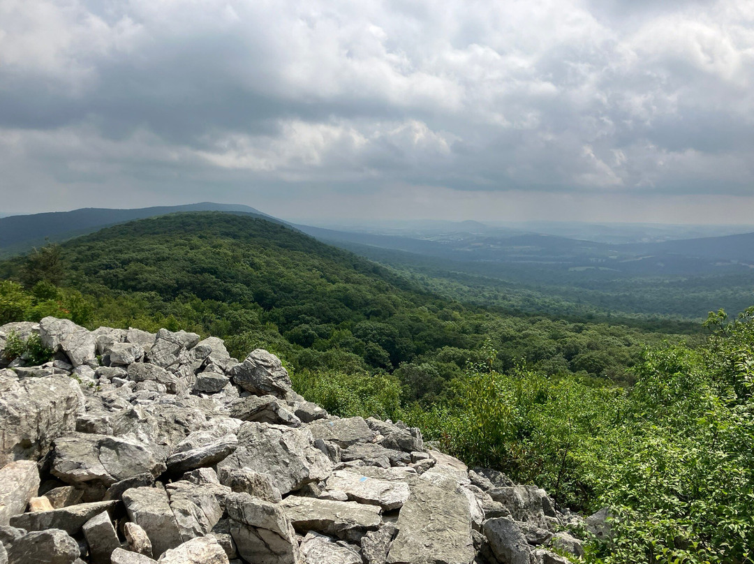 Hawk Mountain Sanctuary景点图片