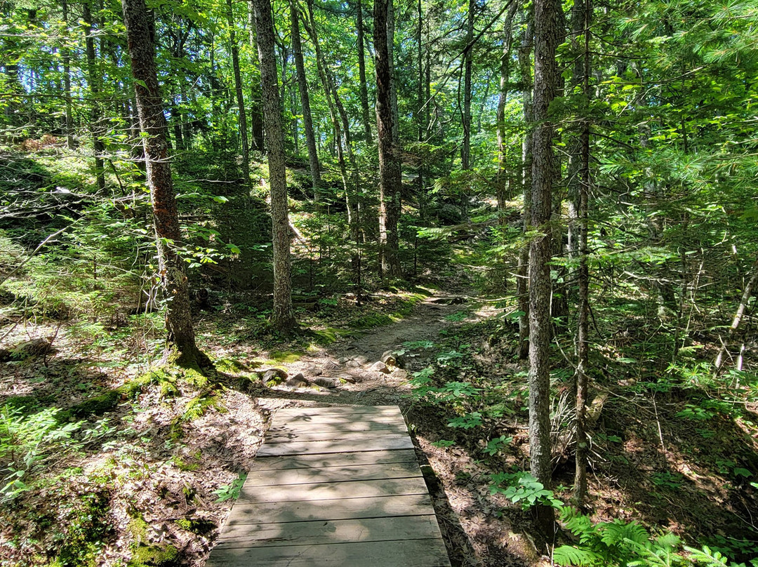 Camden Hills State Park景点图片