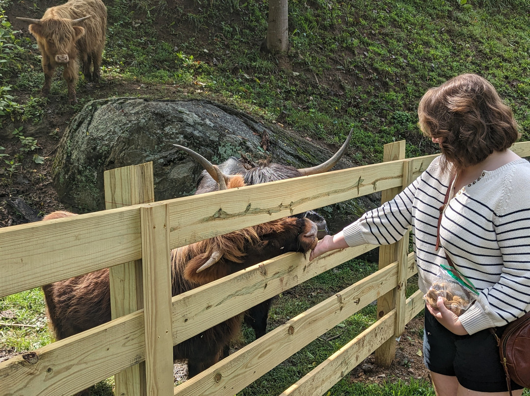 莓果 B&B 旅馆主图