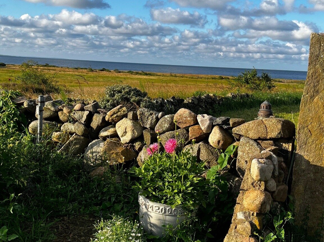 Grimsholmen Bed & Breakfast By The Sea主图