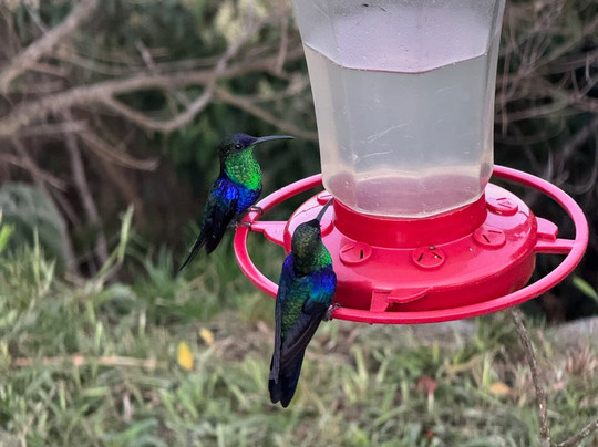 El Dorado Nature Reserve主图