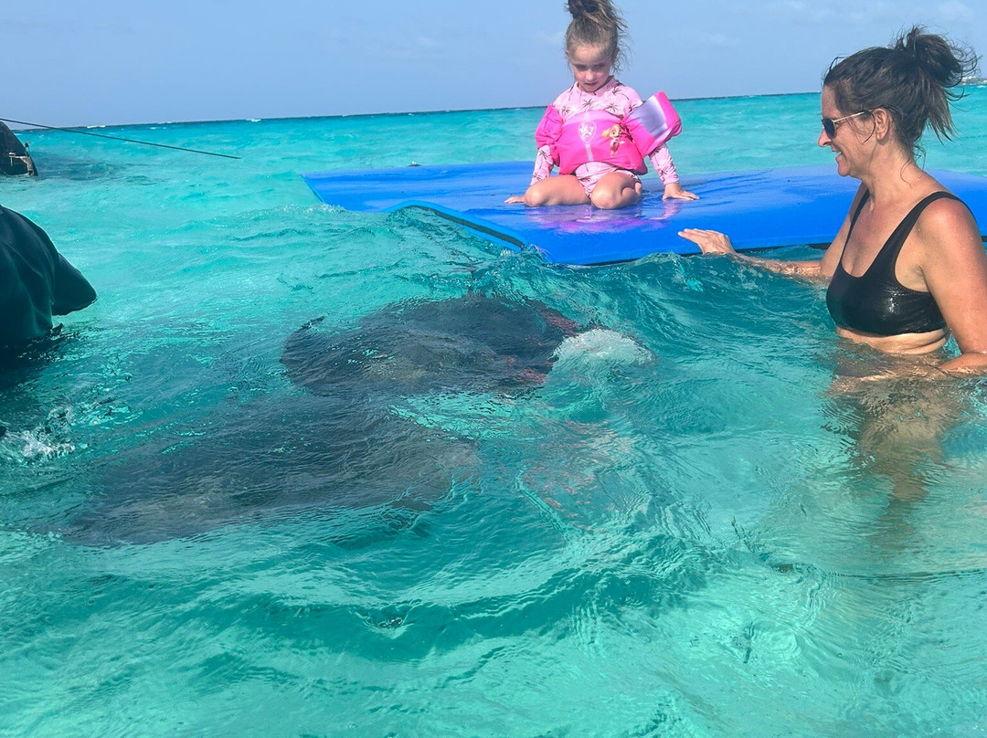 Stingray Sailing-大开曼岛必去景点