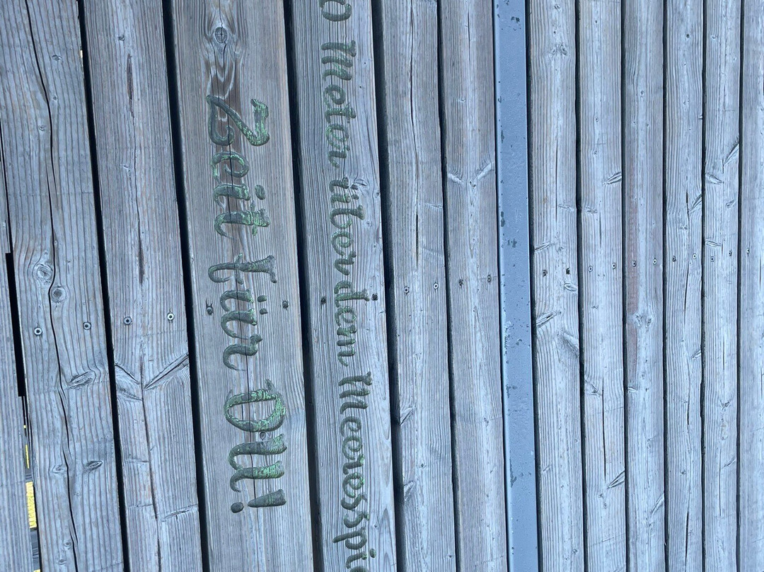 Baumwipfelpfad Salzkammergut-葛姆登必去景点