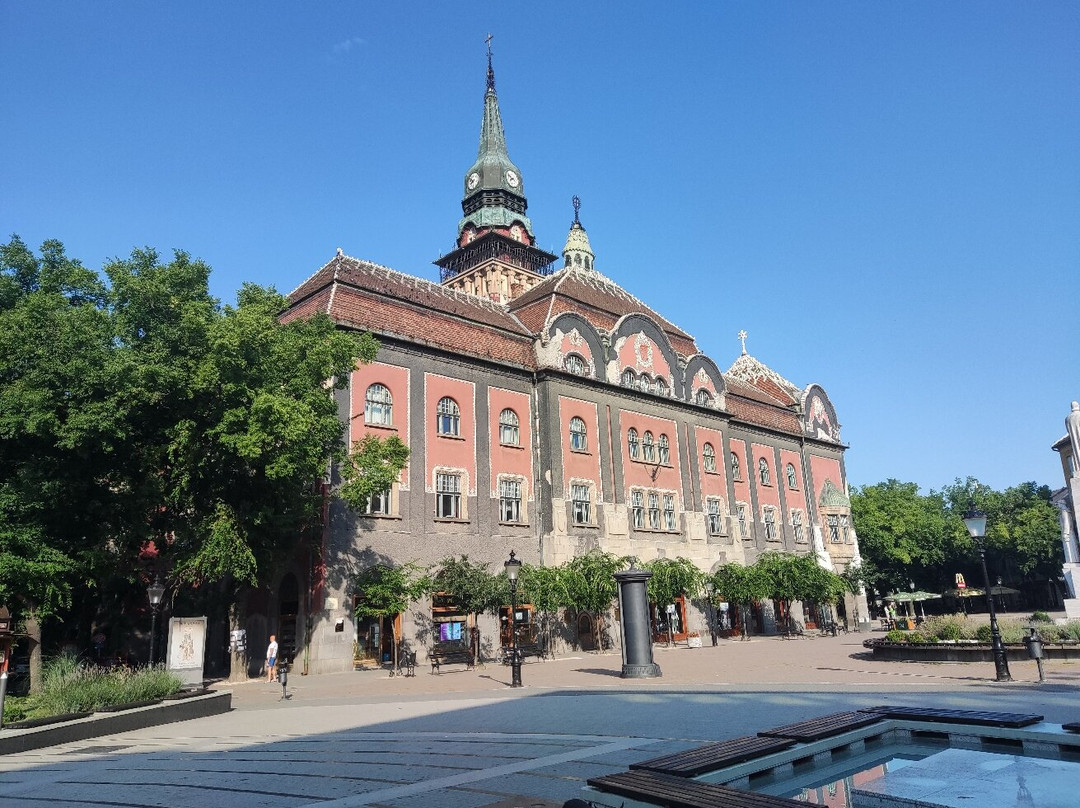 City Hall (Gradska kuca)景点图片