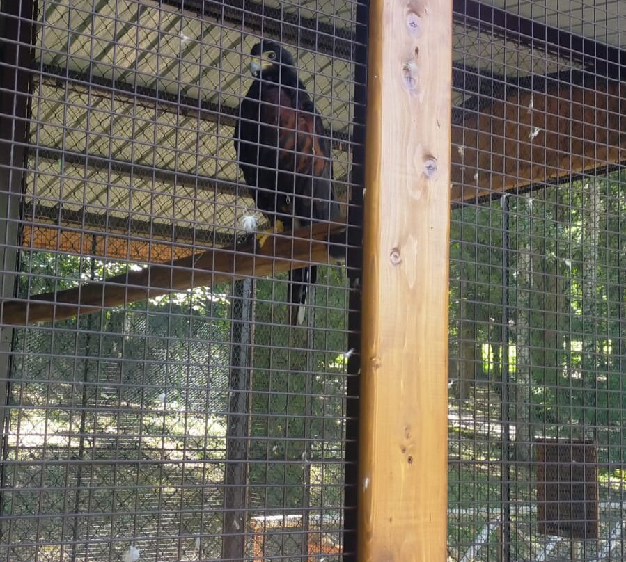 Centro Visita della Fauna Appenninica "O. Caporaso"景点图片