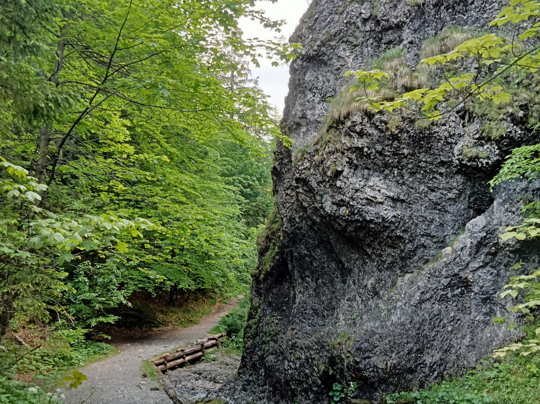 Za Bramka Gorge景点图片