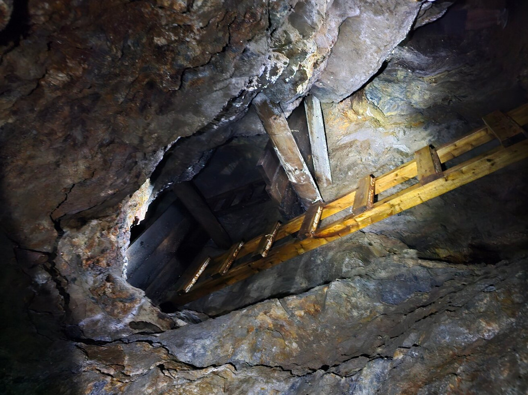 Dolaucothi Gold Mines-Llanwrda必去景点