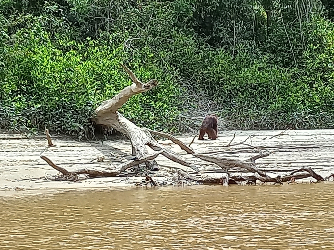 Borneo Escape-帕朗卡拉亚必去景点