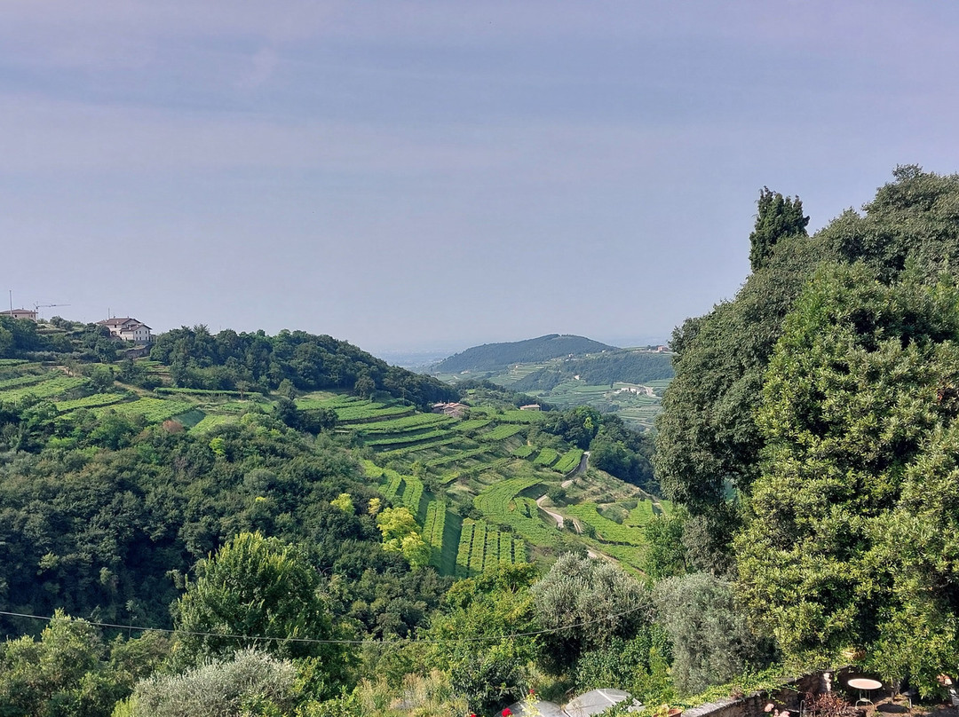 Antica Corte Panego主图