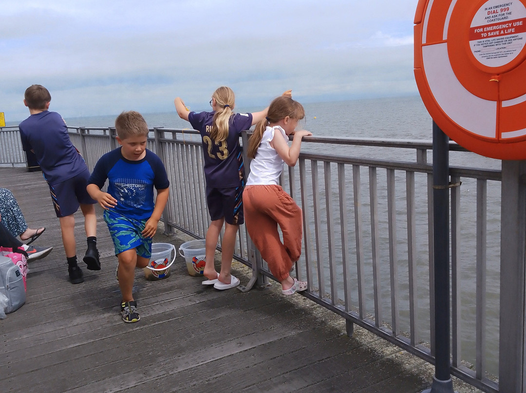 Herne Bay Pier景点图片