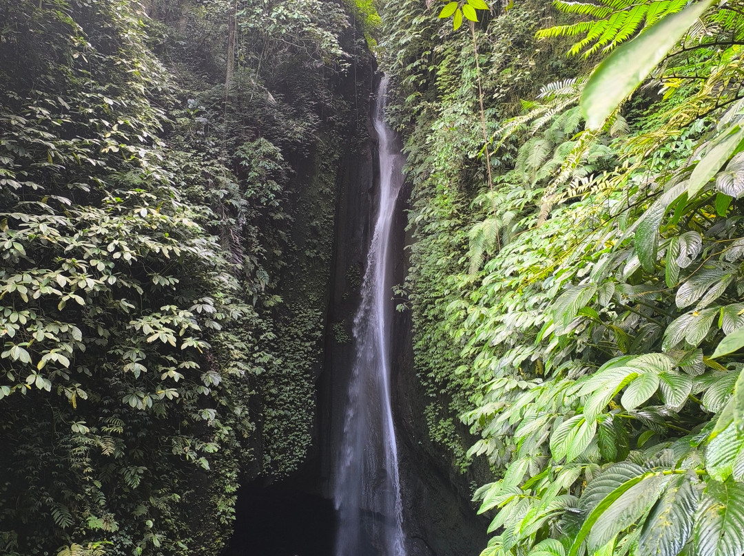 Guia Turistico Bali - Day Tours-沙努尔必去景点