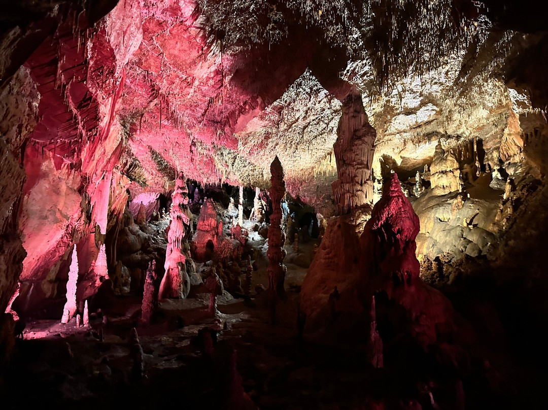 Grotte des Carbonnieres-Lacave必去景点