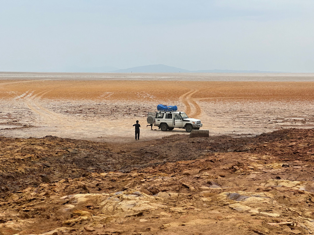 Danakil Depression Tours景点图片