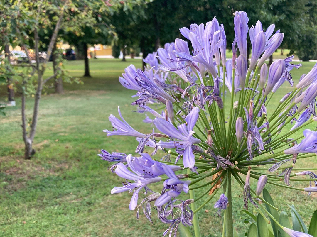 安蒂科卡萨莱酒店主图