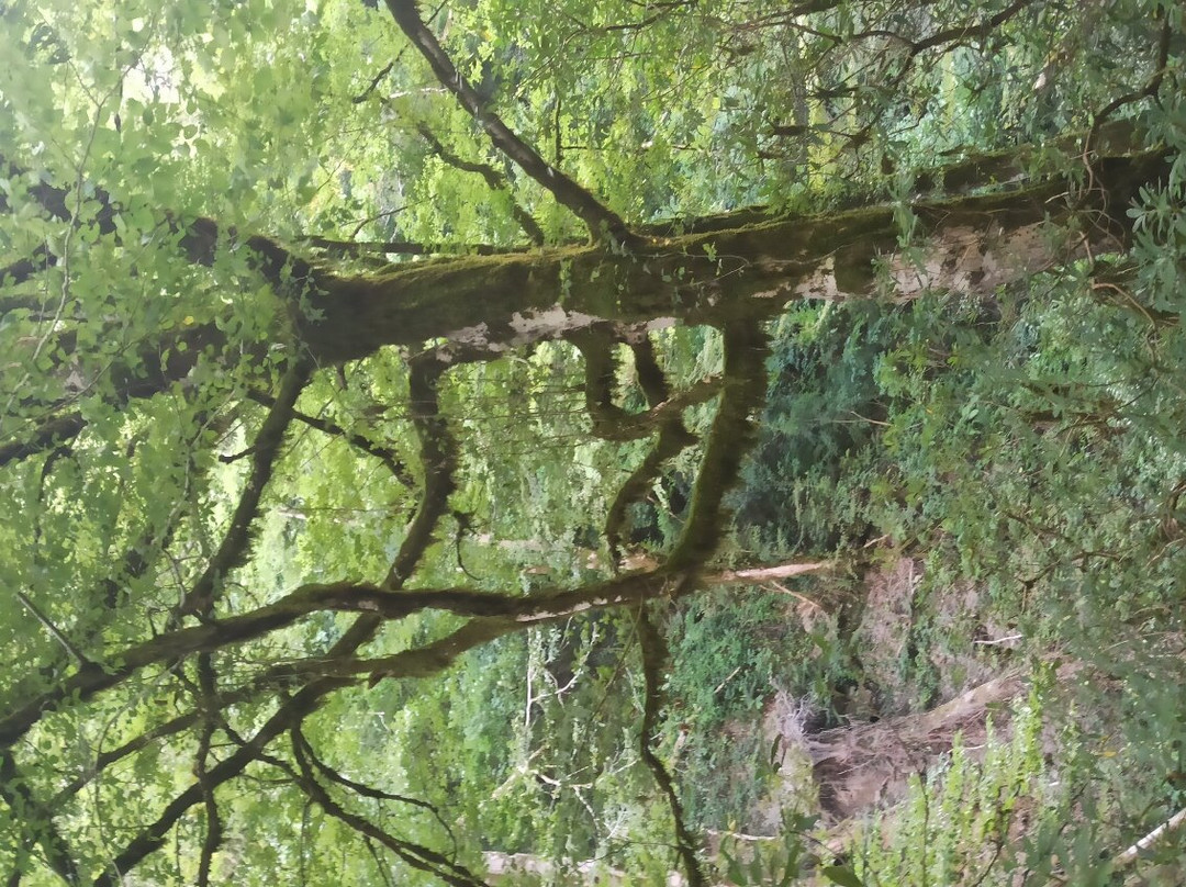 Orekhovsky waterfall景点图片