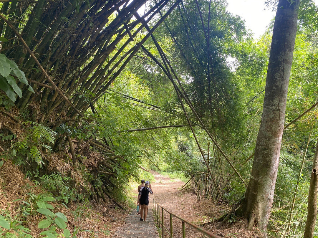 Argyle Waterfall-斯卡伯勒必去景点