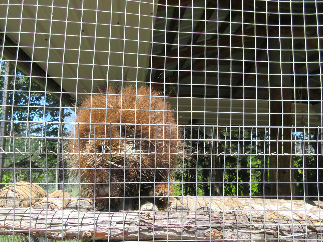 Ferme 5 Étoiles-Sacré-Coeur-Saguenay必去景点