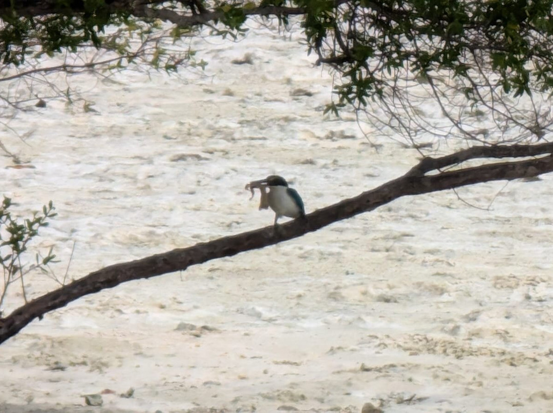 Nunukan Island Resort主图