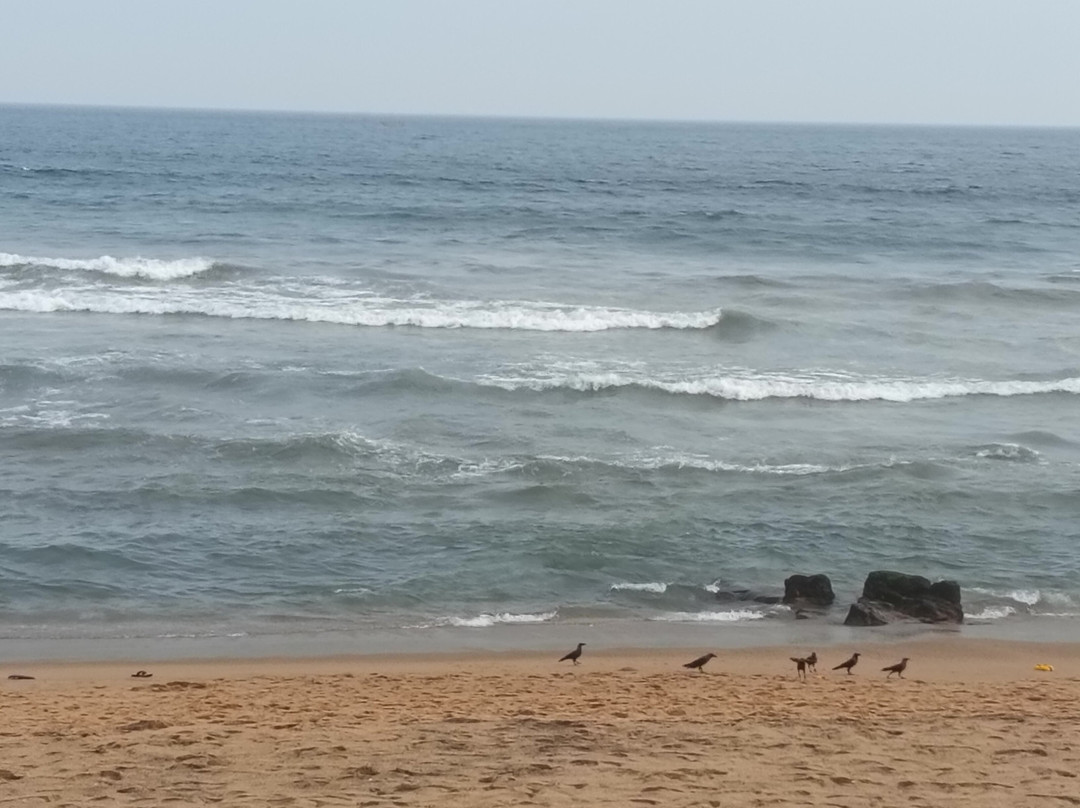 Get Set Go Travels-维沙哈巴南必去景点