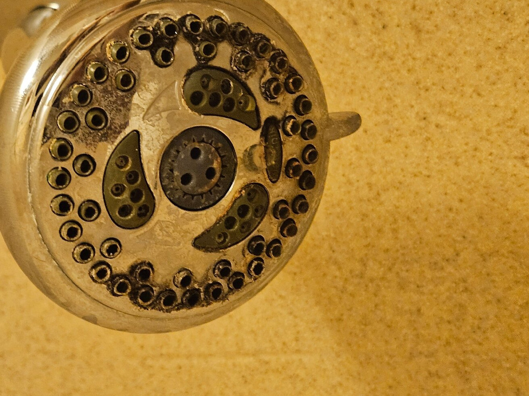 拉斐特希尔顿惠庭套房酒店主图