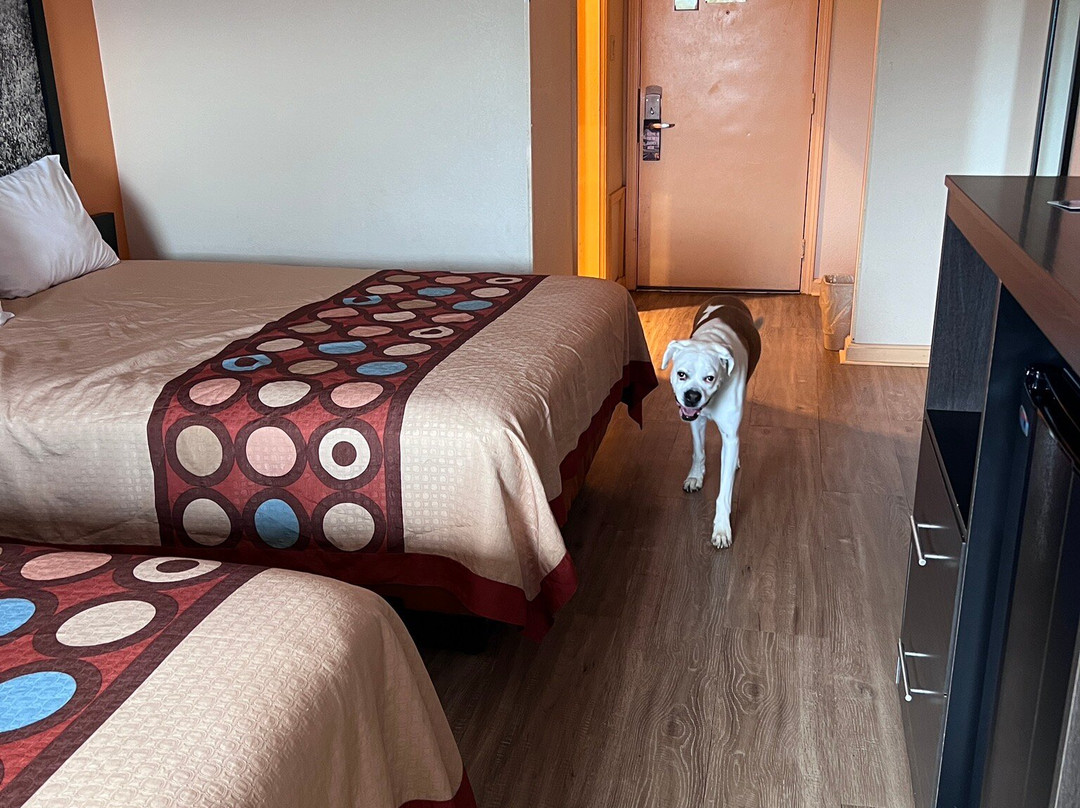 Super 8 by Wyndham Hillsville主图