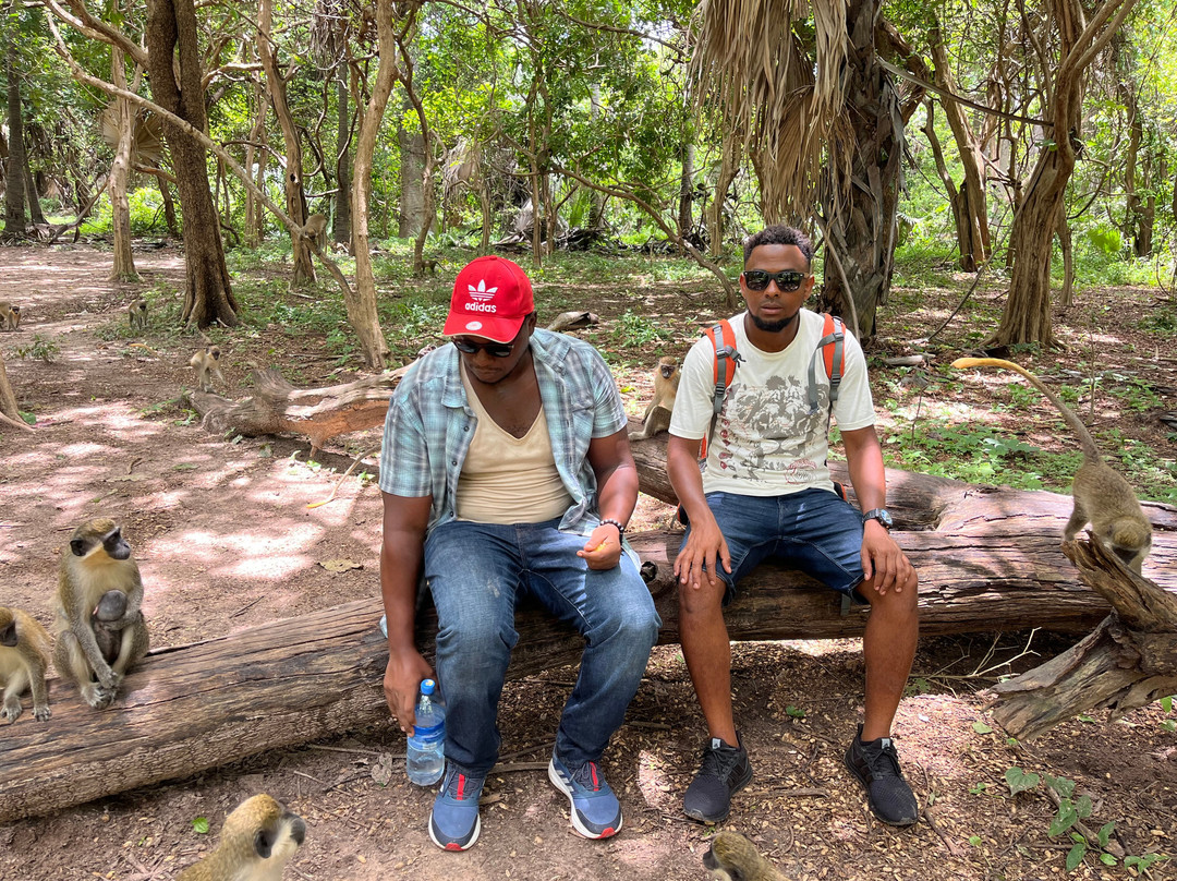 Gambia View Tours景点图片