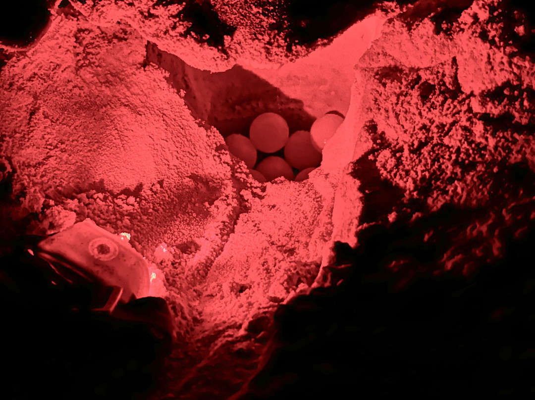 Calutours-萨尔雷必去景点